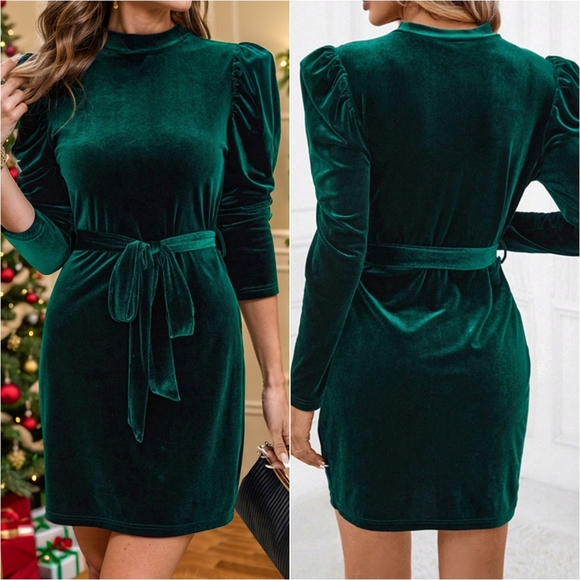 Pine Velvet Luxe Mini Dress - Picture 2 of 10